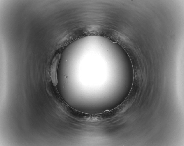 X0000087000751200704301357