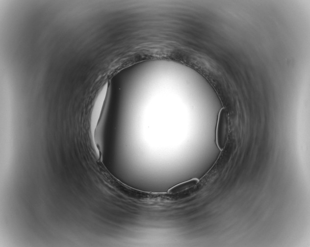 X0000087000752200704301357