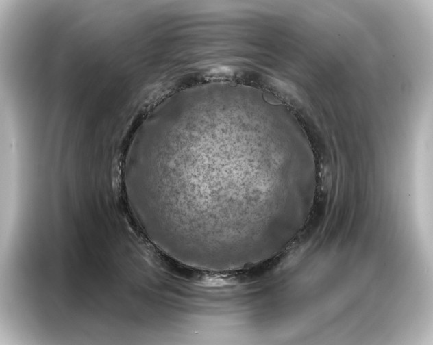 X0000087000753200704301357