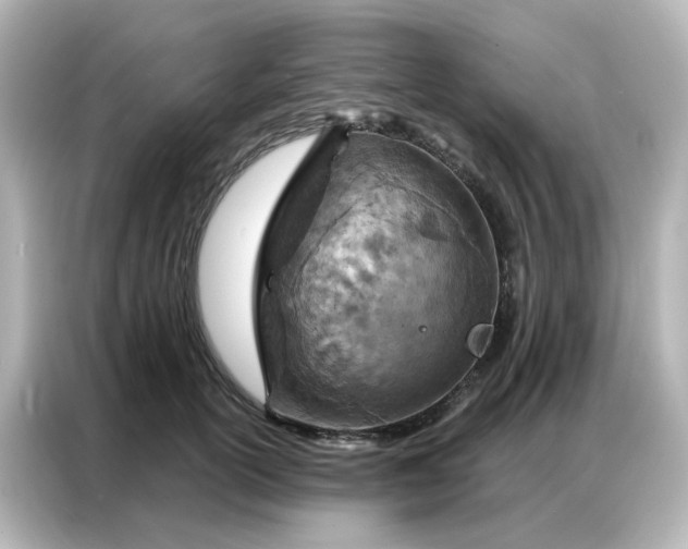 X0000087000754200704301357