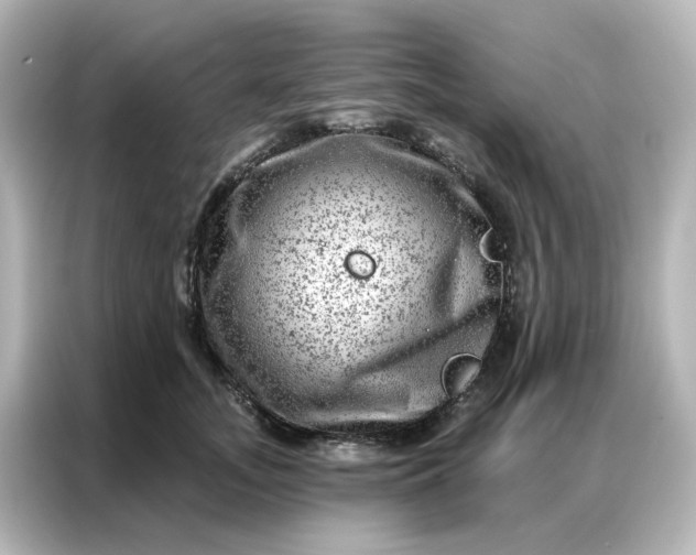 X0000087000755200704301357