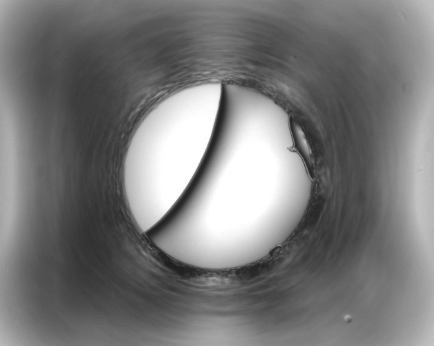 X0000087000756200704301357