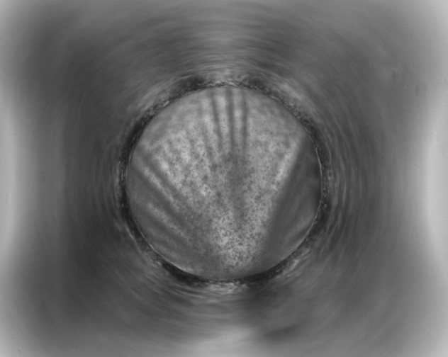 X0000087000757200704301357