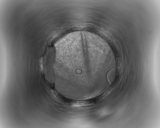 X0000087000758200704301357