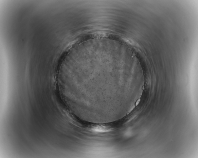 X0000087000759200704301357