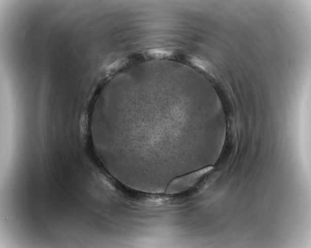 X0000087000760200704301357