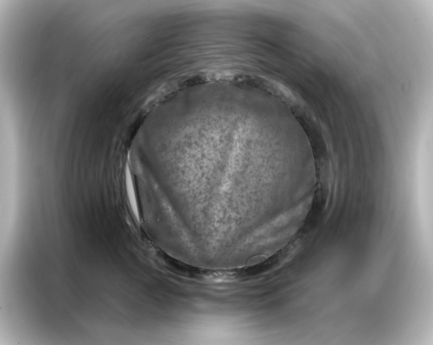 X0000087000761200704301357
