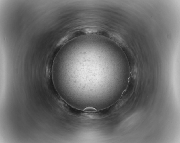 X0000087000763200704301357