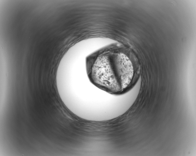 X0000087000764200704301357