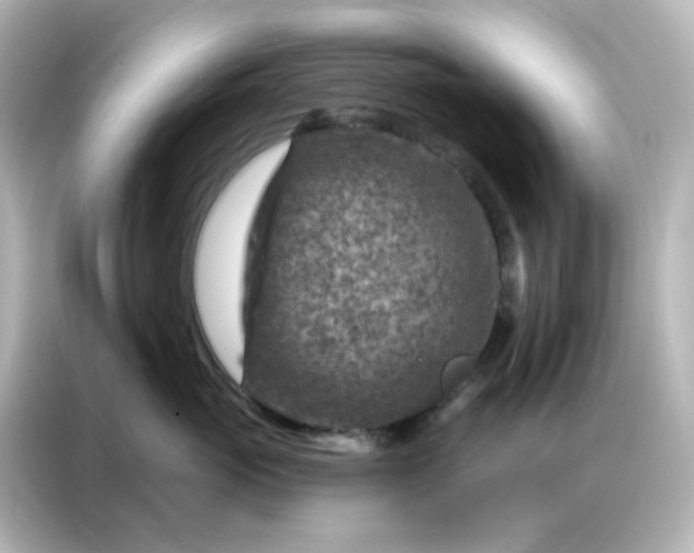 X0000087000765200704301357