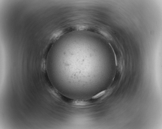 X0000087000766200704301357