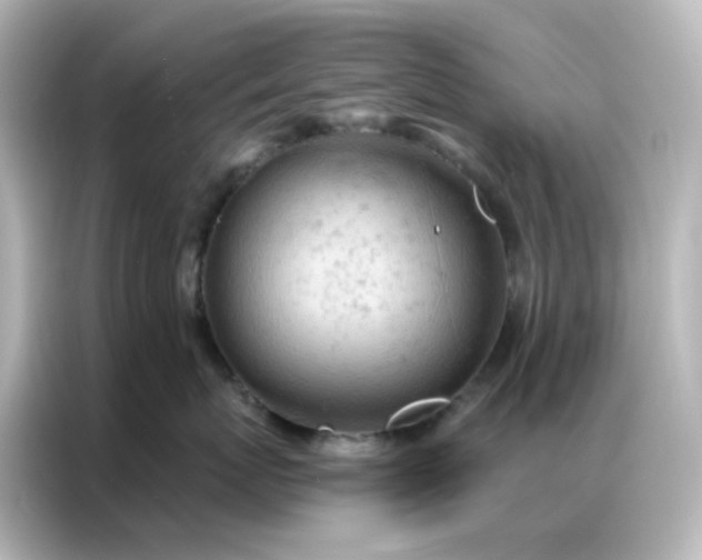 X0000087000767200704301358