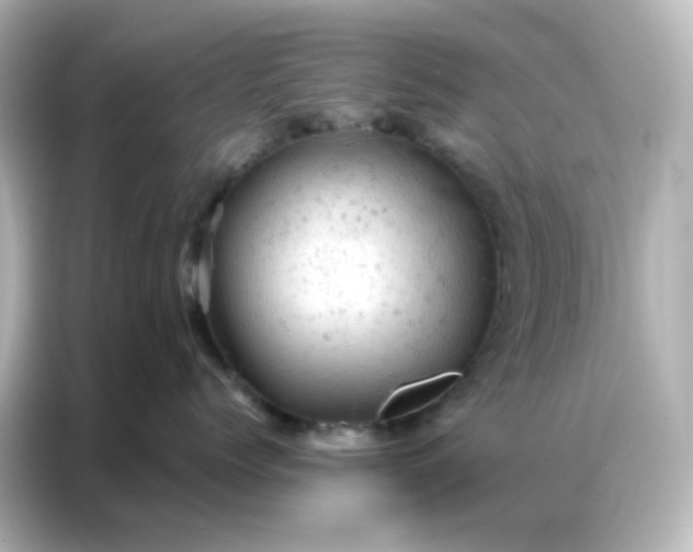 X0000087000768200704301358