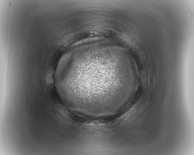 X0000087000770200704301357