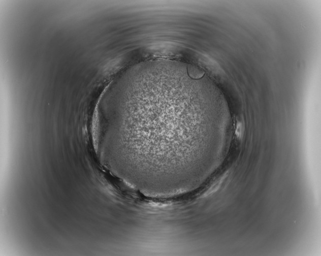 X0000087000771200704301357