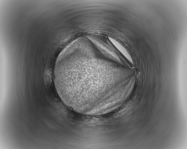 X0000087000772200704301357
