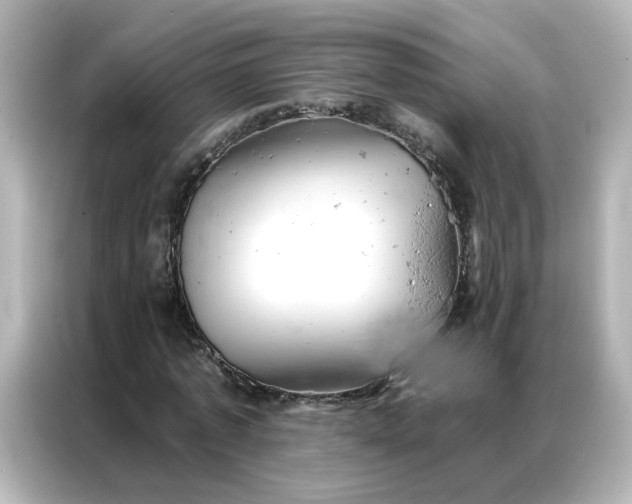 X0000087000773200704301357
