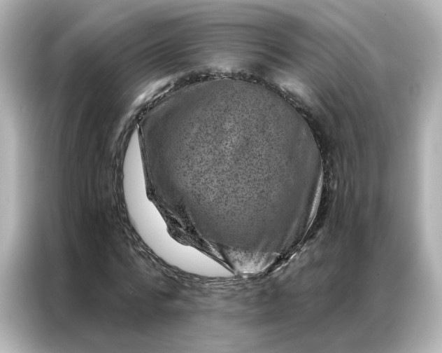 X0000087000776200704301357