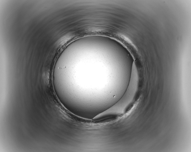 X0000087000777200704301357