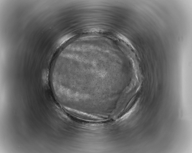 X0000087000778200704301357