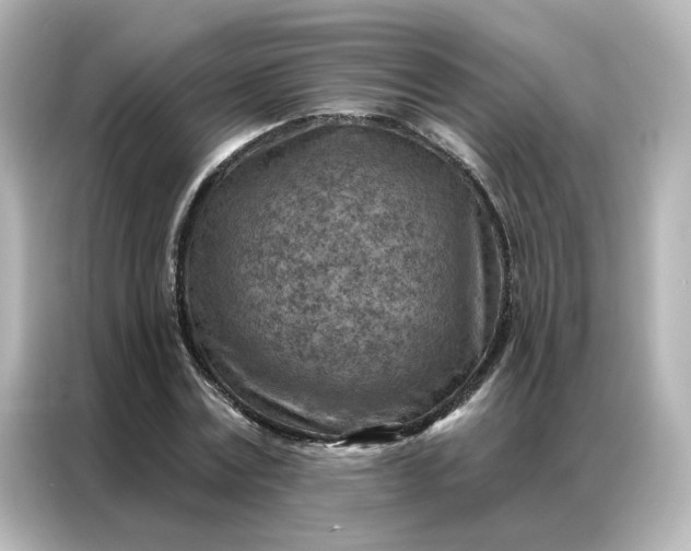 X0000087000779200704301357