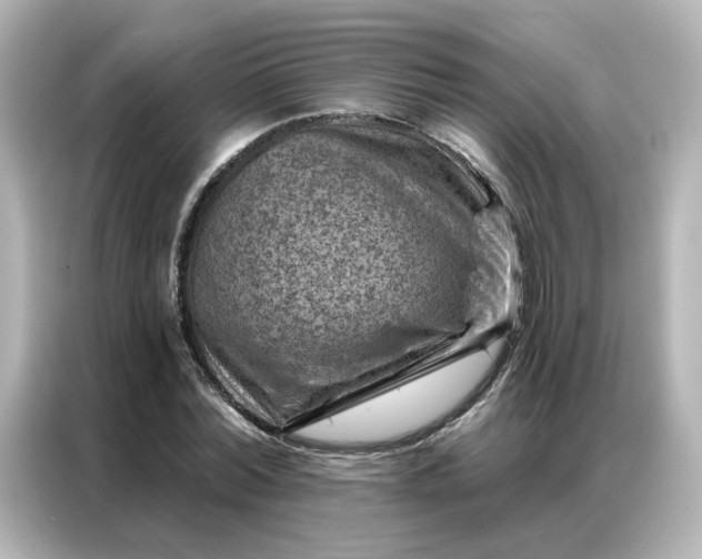 X0000087000780200704301357