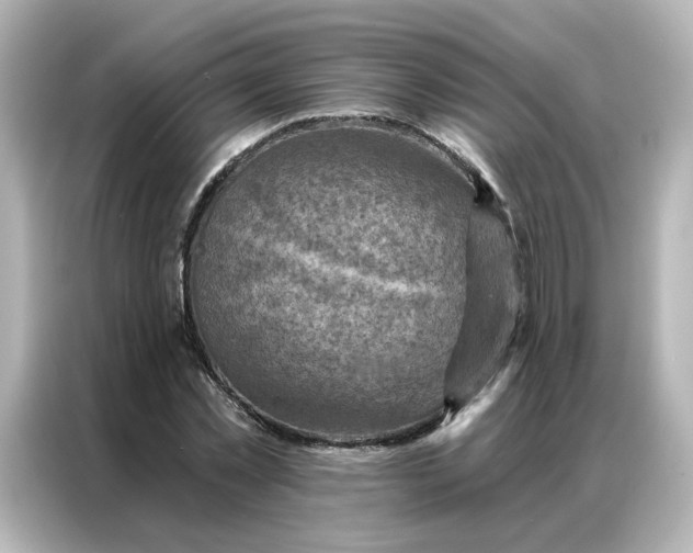X0000087000781200704301357
