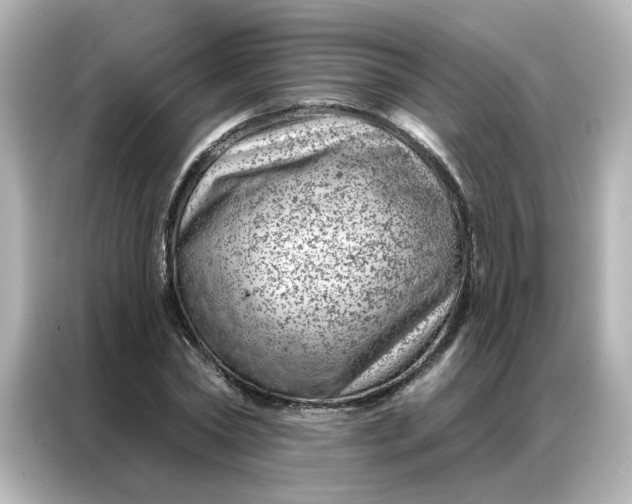 X0000087000782200704301357