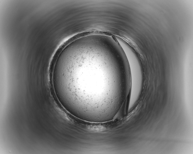 X0000087000784200704301357