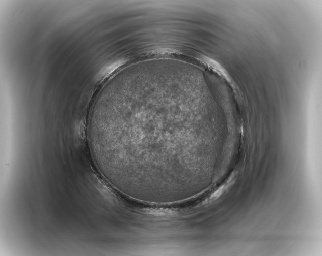 X0000087000785200704301357