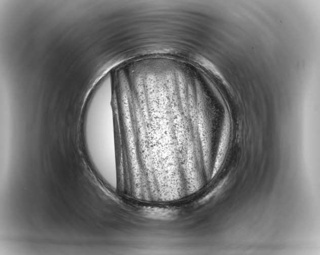 X0000087000786200704301356