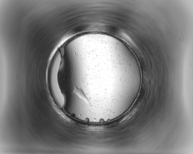 X0000087000788200704301356