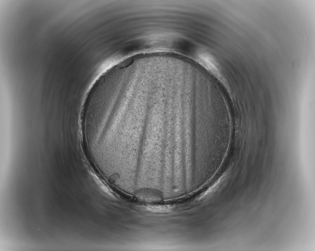 X0000087000789200704301356