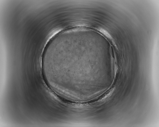 X0000087000790200704301356