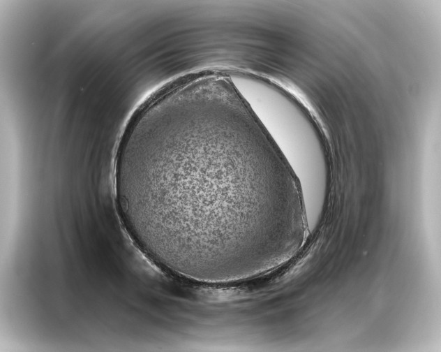 X0000087000791200704301356