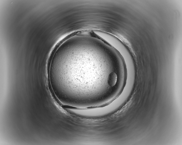 X0000087000792200704301356