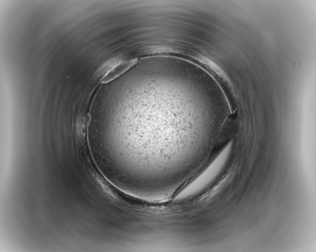 X0000087000793200704301356