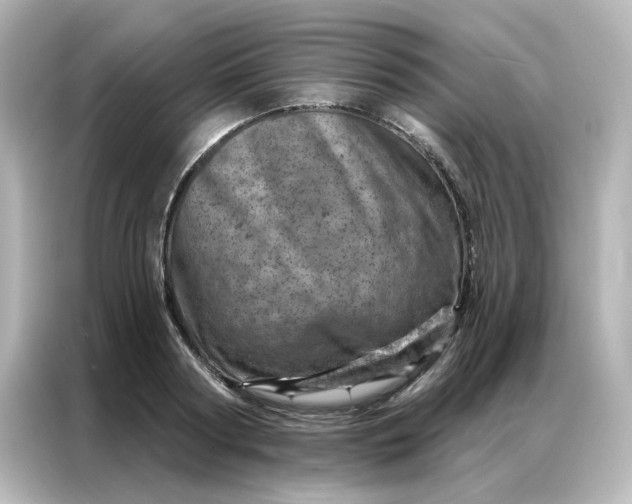 X0000087000794200704301356