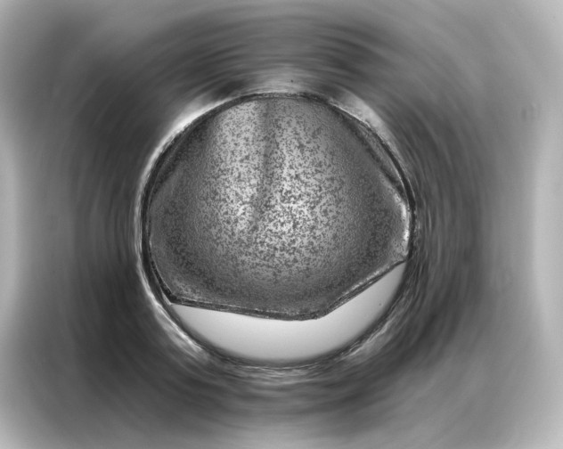 X0000087000795200704301356