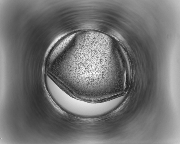 X0000087000796200704301356