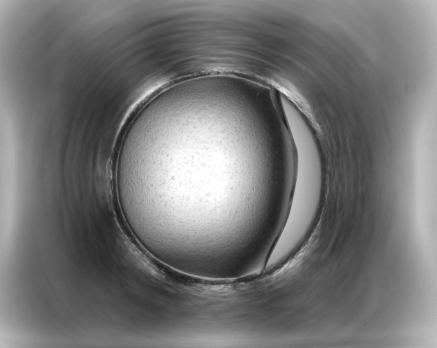 X0000087000798200704301356