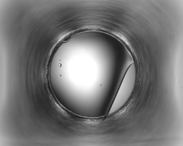 X0000087000799200704301356