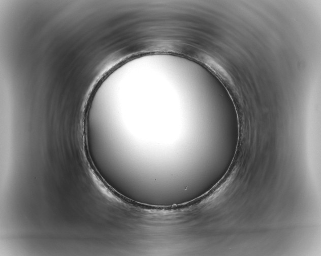 X0000087000800200704301356
