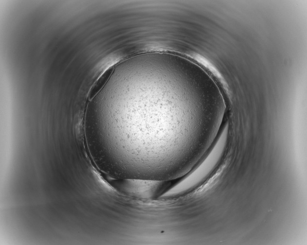 X0000087000801200704301356