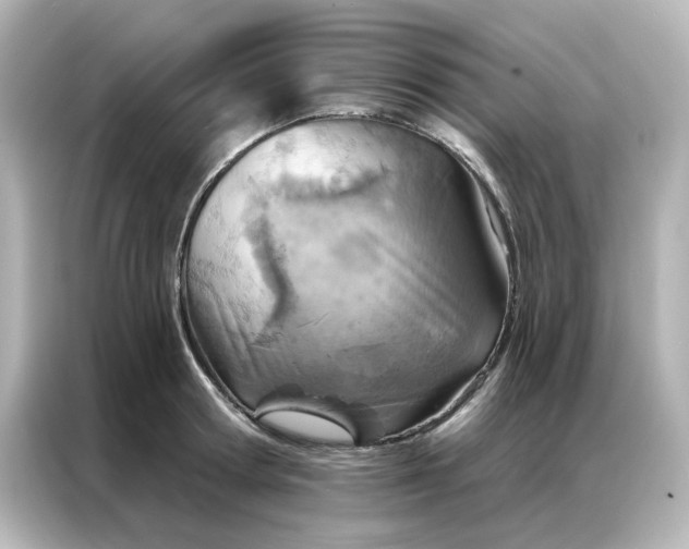 X0000087000802200704301356