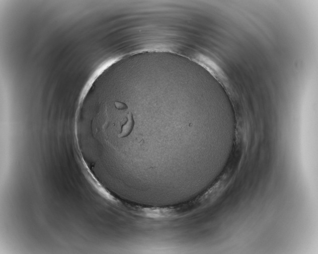 X0000087000804200704301356