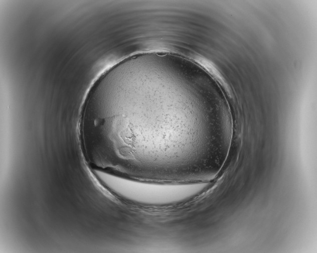 X0000087000805200704301356