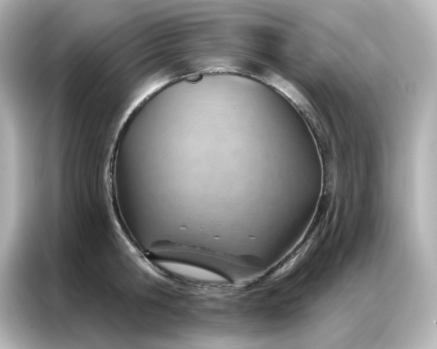 X0000087000806200704301356