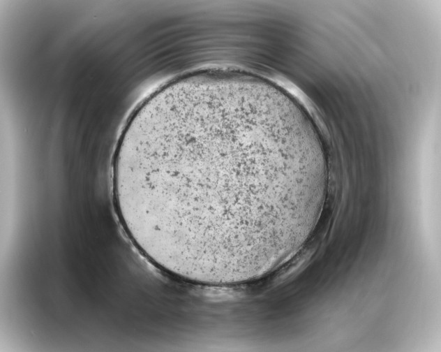 X0000087000807200704301356
