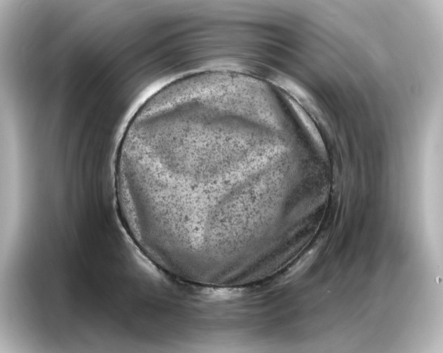 X0000087000808200704301356